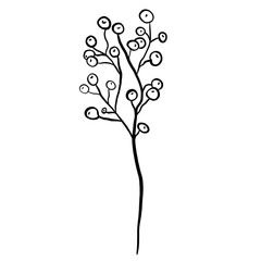 Winter twig line illustration isolated. Botanical wildflower.