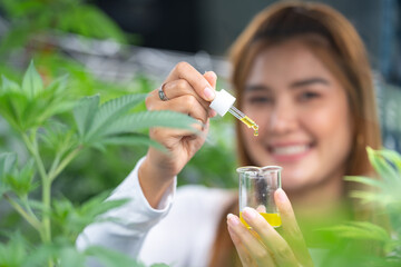Fototapeta premium Scientist wearing glasses and gloves checking hemp plants in a marijuana farm, Marijuana research for CBD oil, alternative herbal medicine concept, pharmaceutical industry laboratory for business