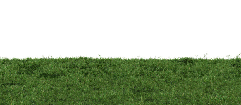 Grass on transparent background. Meadow, lawn as foreground. Lower frame, border. Cut out graphic design element. 3D rendering.