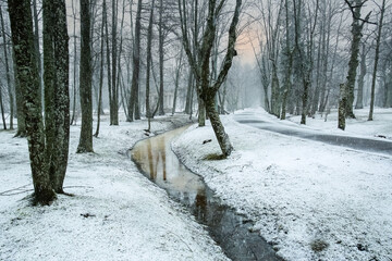 Snowfall in the Kemeri park, Riga, Latvia