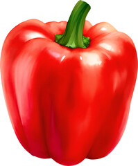 Red Paprika Bell Pepper Isolated Hand Drawn Painting Illustration
