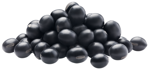 Organic green kernel black bean