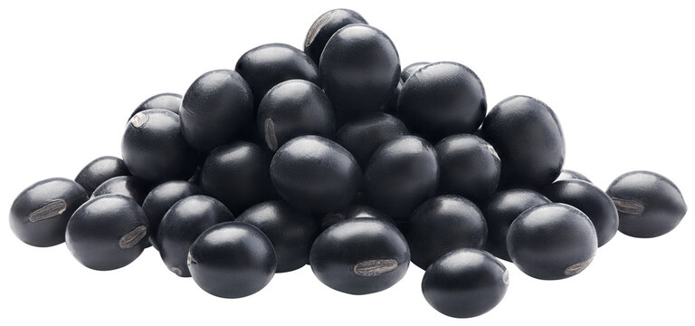 Organic green kernel black bean