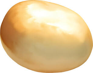 Potato Isolated Hand Drawn Painting Illustration