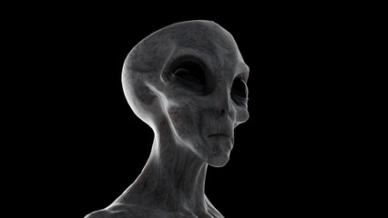 3D rendered illustration of an alien