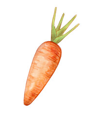 Cartoon vintage illustration, bright carrot, hand-painted in watercolor