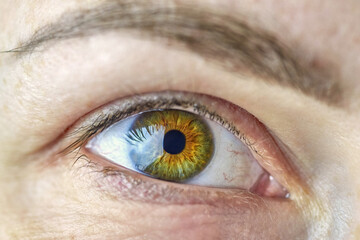 Macro photo of a beautiful female eye.
