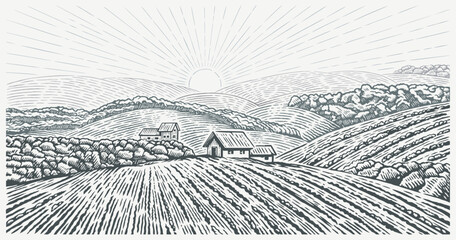 Rural landscape with the village house and  agricultural fields,  with hills drawing in graphic style. Vector Illustration.