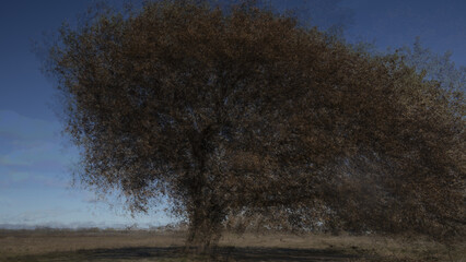 arbre avec effet Muhlhoff - obrazy, fototapety, plakaty