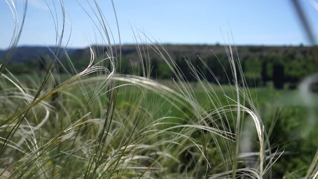 ForestSteppe Bilder Durchsuchen 1,707 Archivfotos,