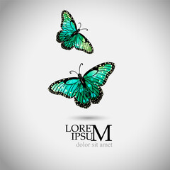 Green watercolor butterfly logo. Vector illustration. Mixed media.