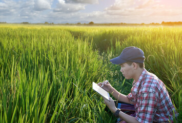 Young asian teen boy in plaid shirt, wears cap and holding tablet in hands, sitting and using his tablet to survey information of rice growing and to do school project work in rice paddy field.