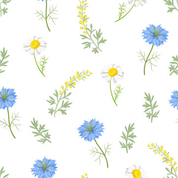 Floral background. Seamless pattern with daisies, wormwood and cornflowers. Botanical vector cartoon illustration. Wild meadow herbs and flowers.