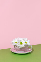 Fresh white flowers in a vintage pink tea cup. Spring season minimal concept background with copy space.