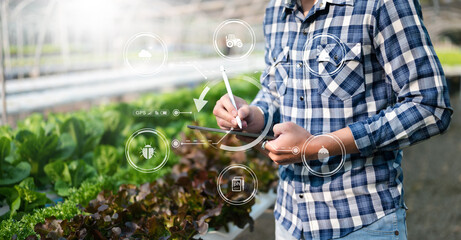  Man hands gardening lettuce in farm  with growth process and chemical formula on green background....