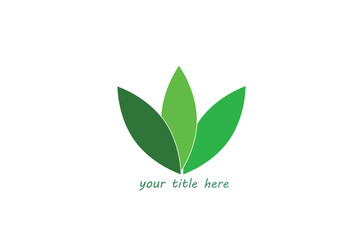 Green leaves on white background