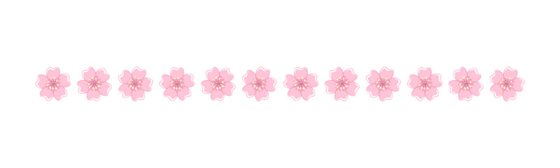 Cherry Blossom Divider Illustration. Spring Floral Border Design Element.
