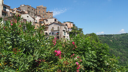Traditional Italian landscape. Hill town Genzano di Roma, small village with Palazzo Sforza Cesarini palace on the top, and old houses around. Ancient cityscape in Italy, Lazio region, Latina province - obrazy, fototapety, plakaty