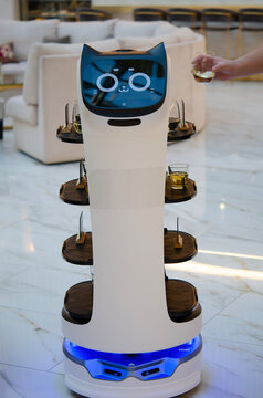 Mobile robot cat with drinks for hotel customers. Modern hotel lobby with smart robot working as a waiter.	