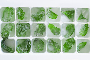 Mint leaves frozen in ice cubes. Fresh and refreshing mint for the summer. Frozen food concept
