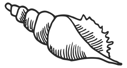 Marine shell icon. Conch sketch. Beach symbol