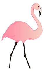 Pink flamingo icon. Romantic cute bird. Exotic animal