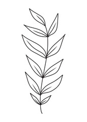 Simple wild branch with leaves and stem in black isolated on white background. Hand drawn vector sketch illustration in doodle engraved vintage outline style. Botanical, plant, line art, beauty.