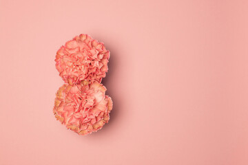 Carnation in the form of the number eight on a pink background. The concept of International Women's Day.