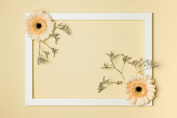 Spring background. Gerbera flowers and a white frame on a beige background. Flat lay. Copy the location for your text.
