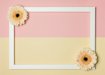 Flat white frame with gerbera flowers on a pink-beige background, free space. March 8 is Women's Day, Valentine's Day, Birthday. Spring greeting card.