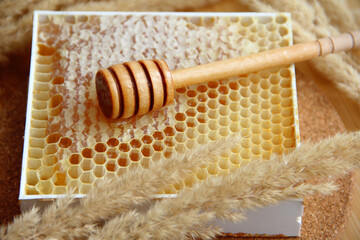 honeycombs. honey with honeycomb close-up. honey in honeycombs on a board with a wooden spoon for honey.