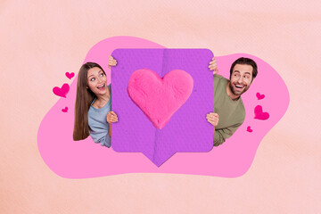 Collage artwork graphics picture of funky excited husband wife holding 14 february feedback heart...