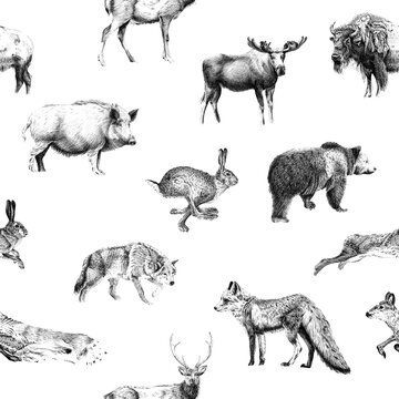 Seamless pattern of hand drawn sketch wildlife animal. Illustration isolated on white