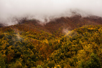 Fototapeta premium Autumn rainy day in La Garrotxa, Spain
