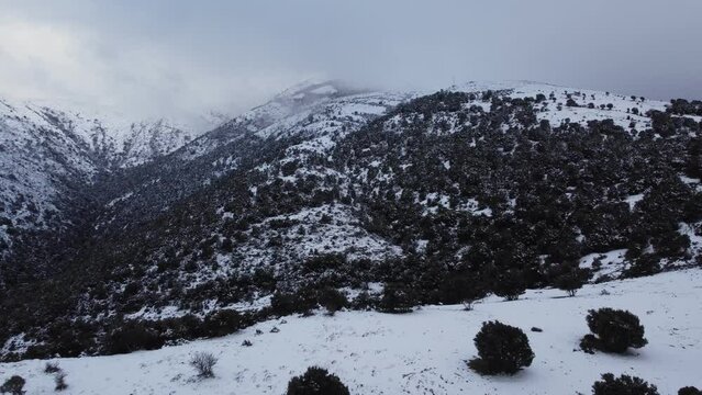 Epic aerial shot of high snowy mountain covered with forest trees, forward