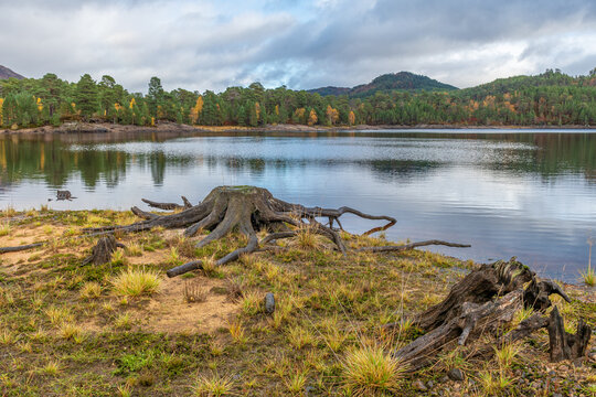 Glen Affric, Cannich, Scotland, United Kingdom