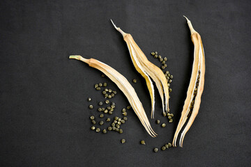 okra seed grains,okra seed,okra seeds close-up in dried okra plant