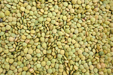 freshly harvested new season production dried green lentils, there are stone and grass residues in it,