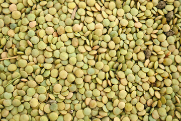 dried green lentils, there are stones and grass residues in it,