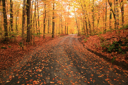 Autumn, Country Road In Upstate New York In The Adirondack Mountains, New York, USA.