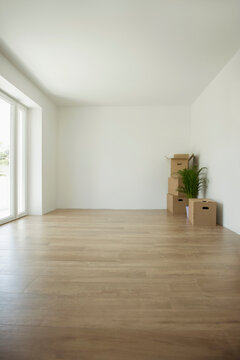 Wooden floor empty room box teddy deserted