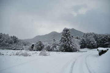 田舎の雪景色