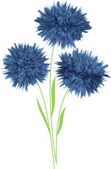 Three blue flowers. Vector file for designs.