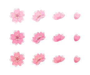 Naklejka premium A set of cherry blossom blooming illustrations