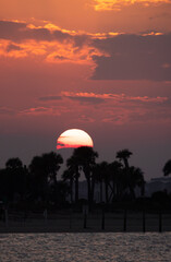 colorful sunset amelia island florida silhouette palm trees rays