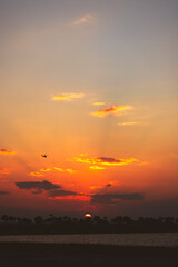 colorful sunset amelia island florida silhouette palm trees rays