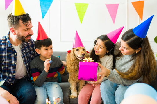 Family giving birthday presents to their dog
