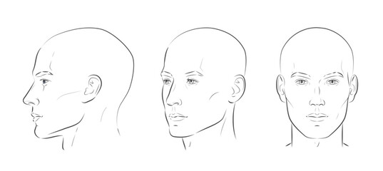 Man face portrait three different angles and turns of a male head. Bald hairless man. Close-up vector line sketch. Set of different view front, profile, three-quarter of a boy
