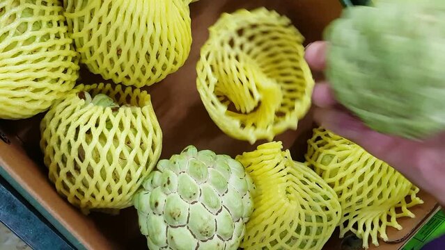 Woman of African ethnicity choosing a custard apple from a market stall.  Real time