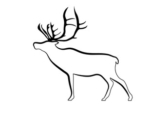 A deer with antlers. Silhouette and line in black.